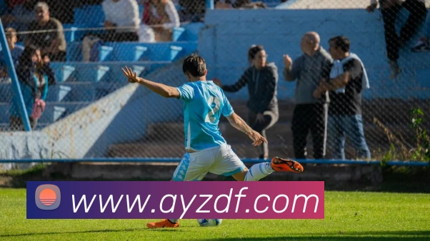 巅峰国际平台生态图